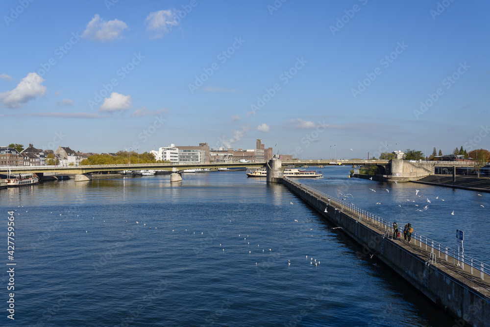 Outdoor sunny view of people on embankment and bird on Meuse river from Sint Servaasbrug, historical footbridge, and background of cityscape in Maastricht, Netherlands.