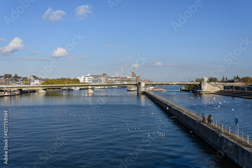 Outdoor sunny view of people on embankment and bird on Meuse river from Sint Servaasbrug, historical footbridge, and background of cityscape in Maastricht, Netherlands.