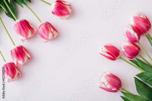 Fototapeta Naklejka Na Ścianę i Meble -  Pink and white tulips on white background. Flat lay, top view, copy space