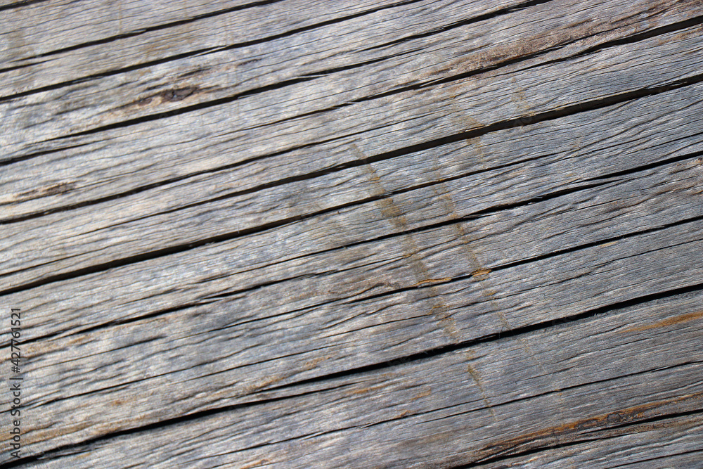 wood tree timber background texture structure backdrop wood tree timber background texture structure backdrop