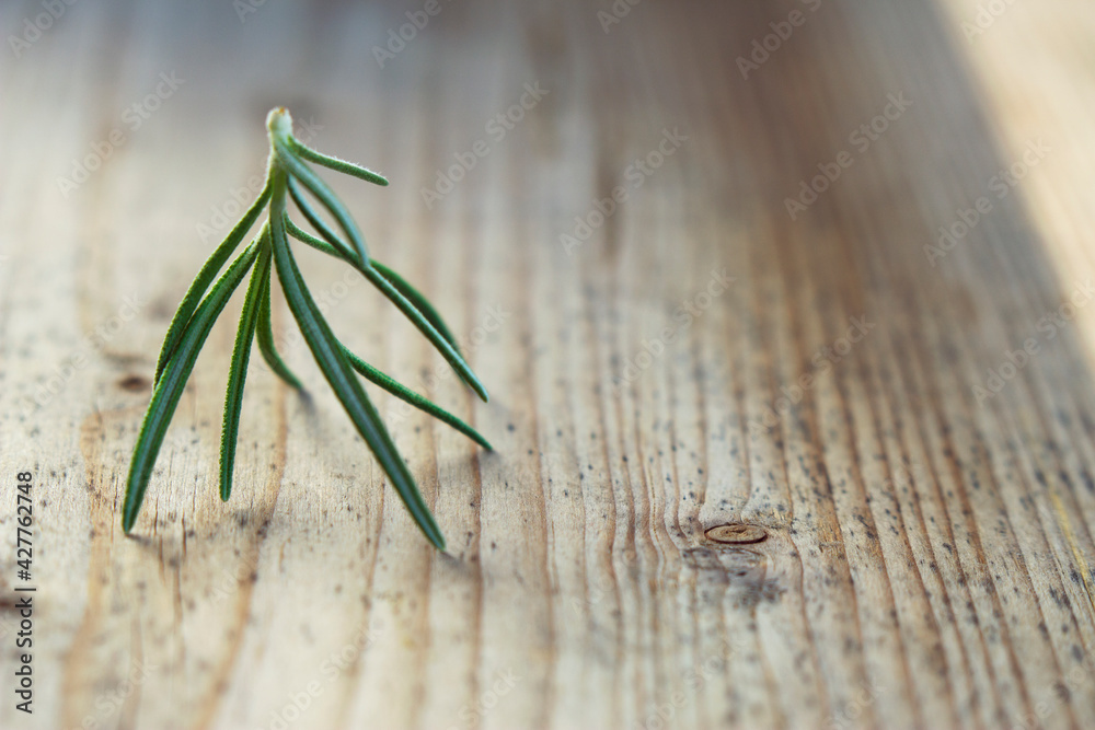 Fresh rosemary twig on wooden background macro. Cooking ingredient on the table. Green flavoring herbs for chicken, meat and potatoe dishes. Seasoning for tasty and delicious meal with copy space. Fresh rosemary twig on wooden background macro. Cooking ingredient on the table. Green flavoring herbs for chicken, meat and potatoe dishes. Seasoning for tasty and delicious meal with copy space.