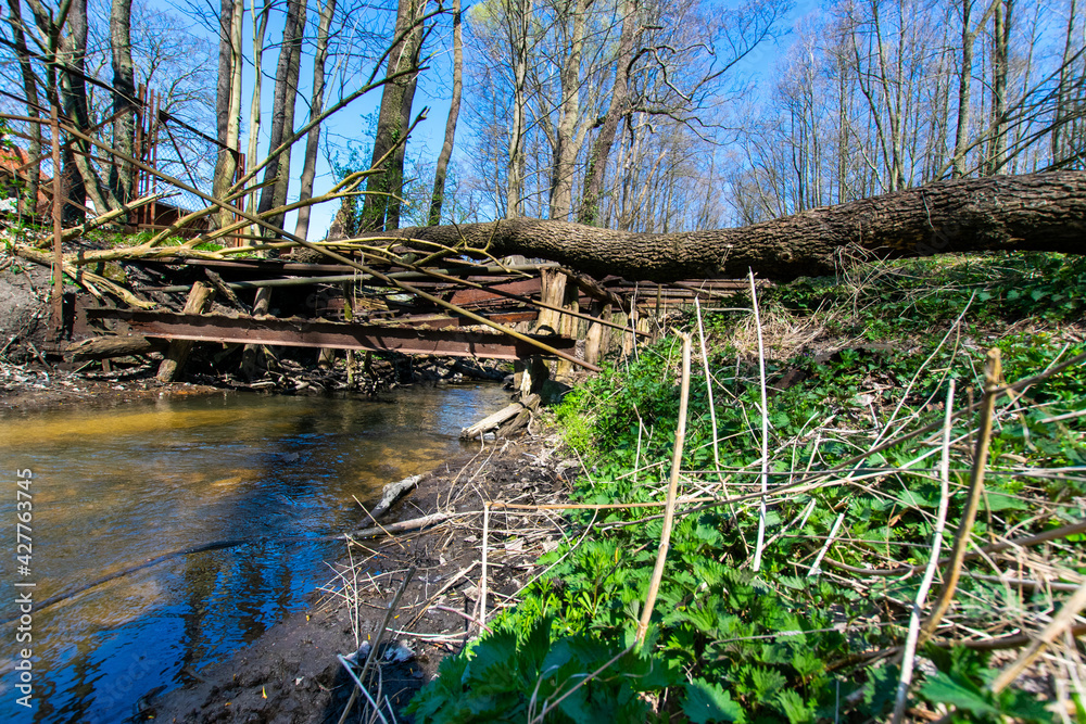 old bridge in the forest (Märkisch-Oderland, Brandenburg, Germany) old bridge in the forest (Märkisch-Oderland, Brandenburg, Germany)