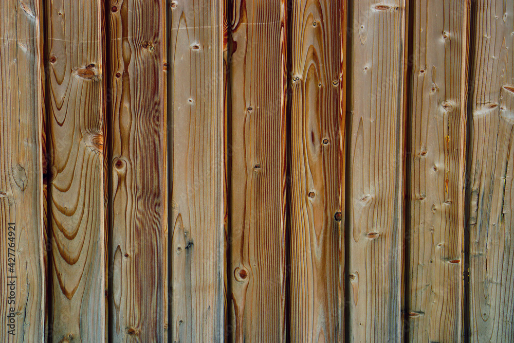 wood tree timber background texture structure backdrop wood tree timber background texture structure backdrop