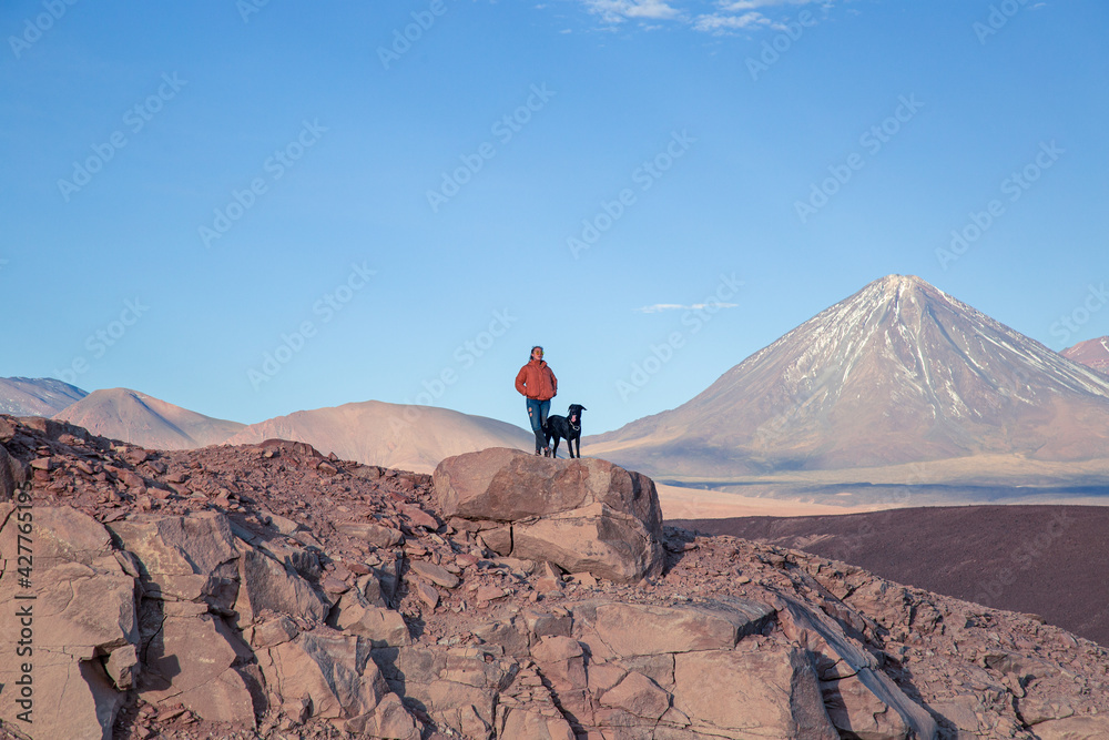 person and dog on the top of mountain