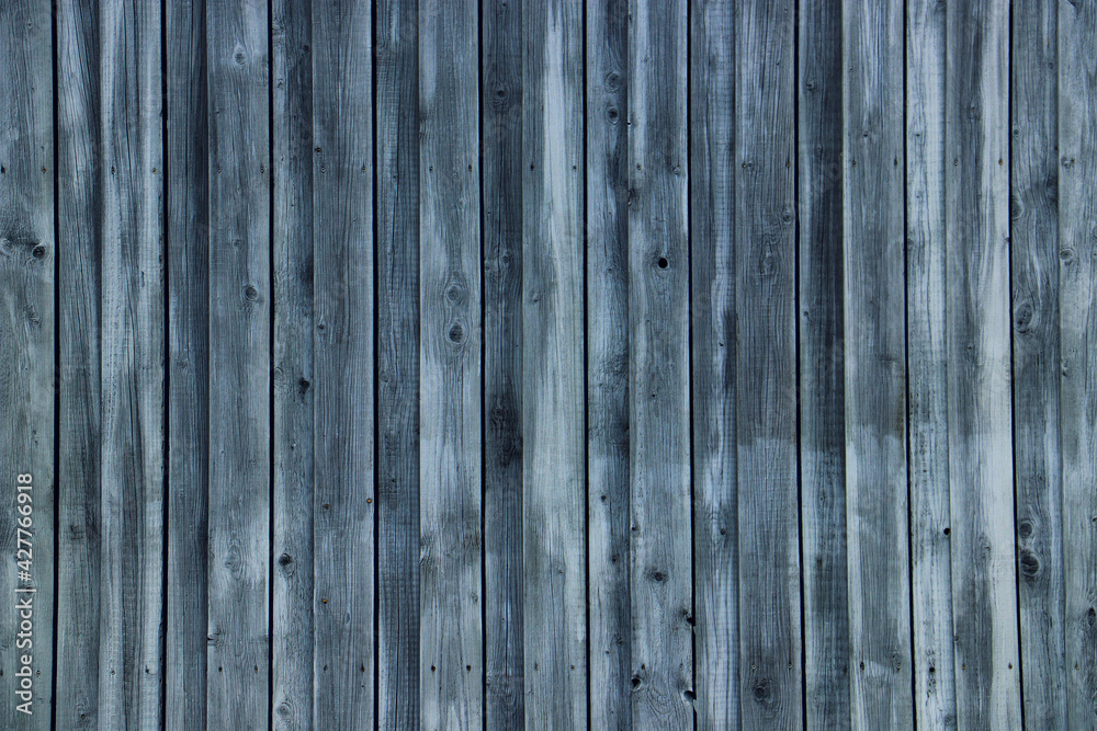 wood tree timber background texture structure backdrop wood tree timber background texture structure backdrop