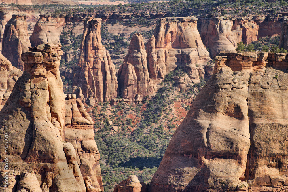 Giant rock formations and spires tower in a canyon valley at Colorado National Monument near Fruita, CO