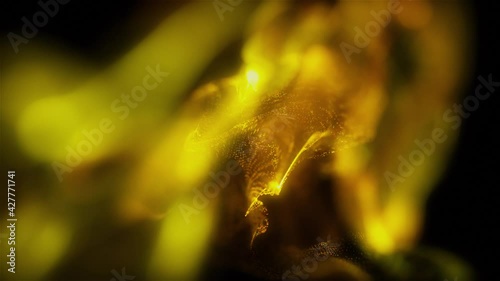 Abstract Macro slow motion shot of Blue and Orange Particle Fluid isolated on black. paint drops mixing in water. Ink swirling underwater. Colored cloud abstract smoke explosion animation. 3D render