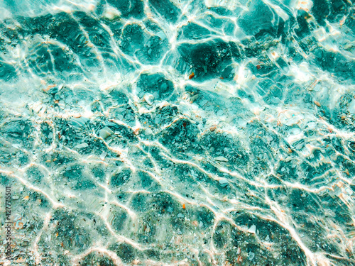 Under The Sea