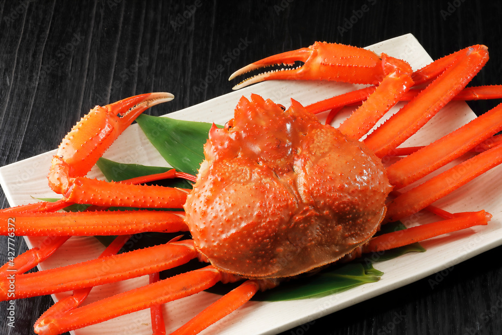 黒い背景の上の北海道産紅ずわい蟹 Snow Crab On Black Background Stock Foto Adobe Stock