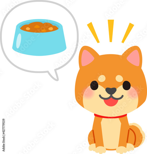 ご飯を催促する柴犬