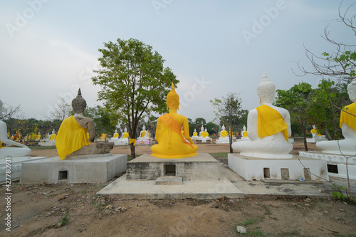 Row of Buddha statues. Old ruins of a temple in Wat Phai Rong Wua temple, Song Phi Nong, Suphan Buri. Famous tourist attraction landmark. Thai History architecture. photo