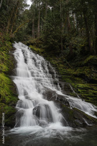 Portrait orientated beautiful flowing waterfall in lush Pacific Northwest forest