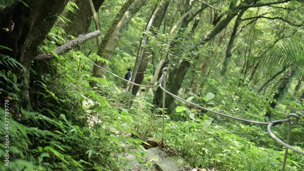 The hikers descended from the stone stairs with his dog. The hikers descended from the stone stairs with his dog.