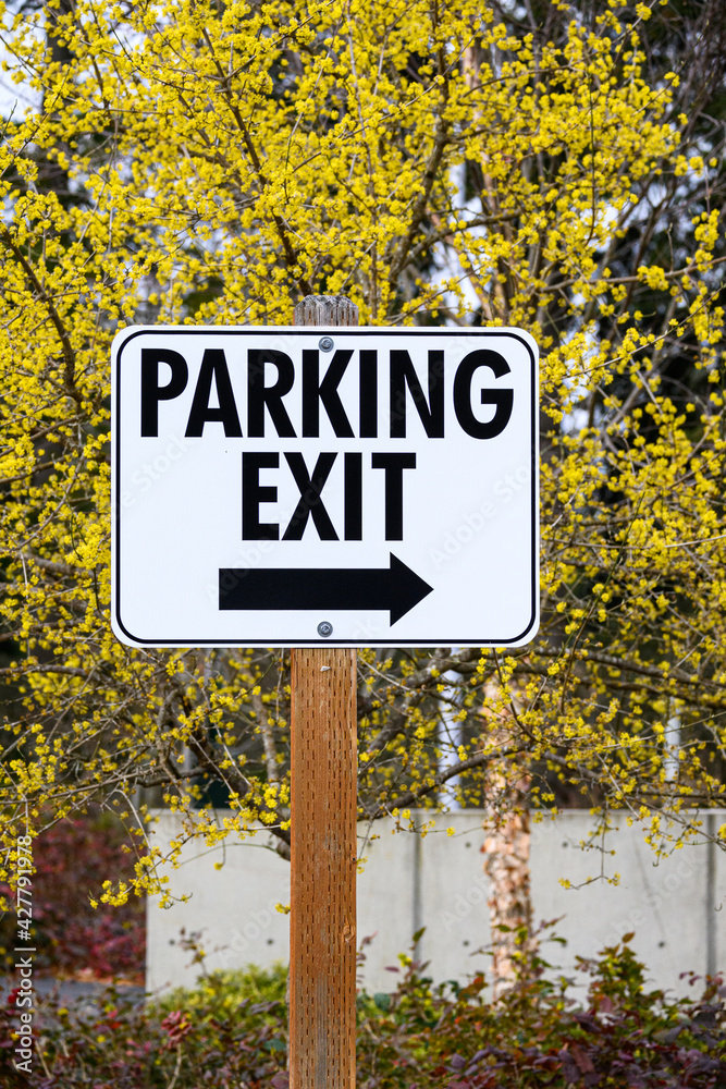 Parking Exit sign in black and white with a yellow forsythia bush blooming in the background
