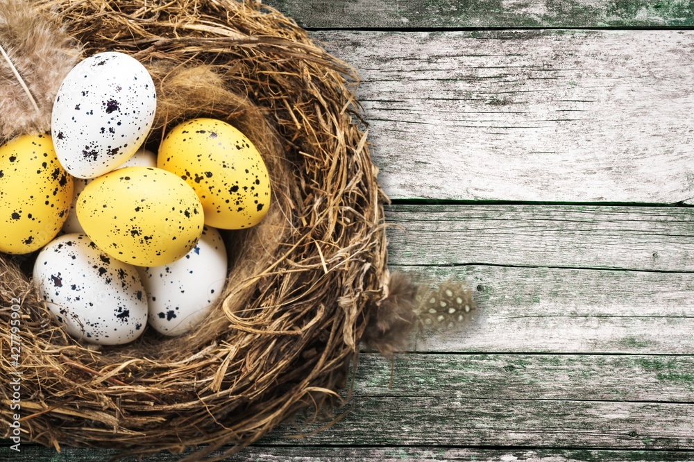 Obraz premium Easter.