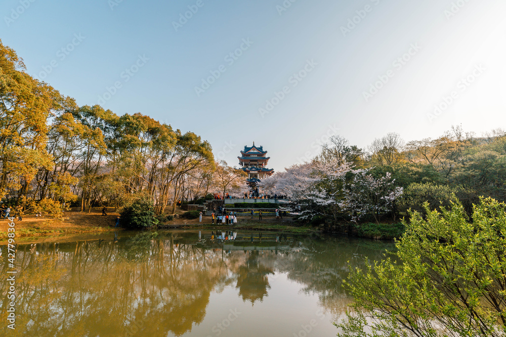 Landscape of the spring cherry blossoms, in Wuxi Yuantouzhu, also named Landscape of the spring cherry blossoms, in Wuxi Yuantouzhu, also named