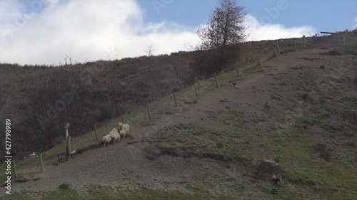 Scenic view of Lake Wakatipu, Queenstown, New Zealand