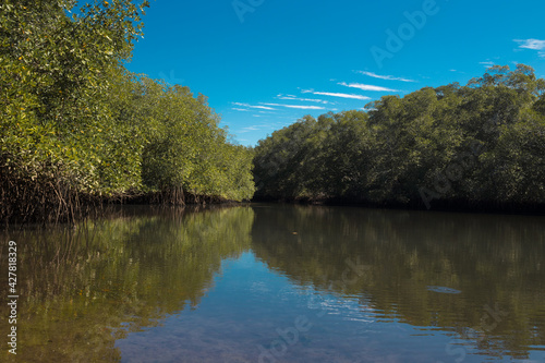 Fototapeta Naklejka Na Ścianę i Meble -  River mouth near a mangrove on a beach in the dry tropics
