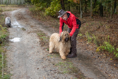 A senior man walking with his cute bearded collie dog in the forest.