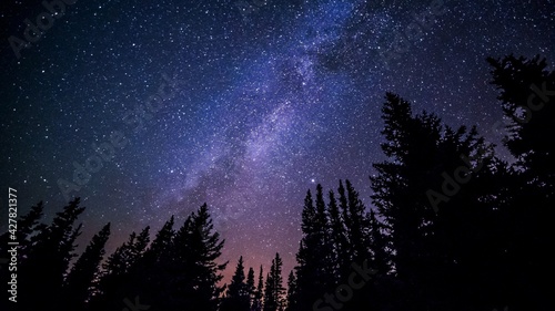 starry night sky