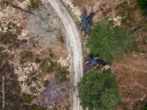 Aerial top view of the Puddletown Forest in Dorset, UK photo