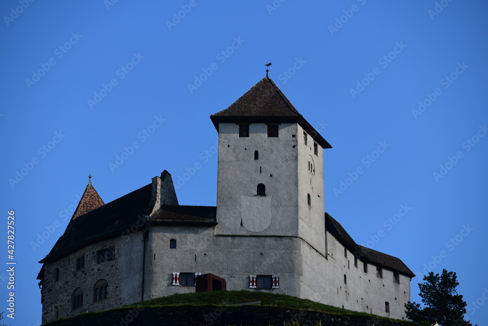 old castle in Liechtenstein, Europe