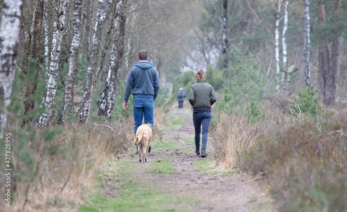 Man and woman walking with their dog in the forest