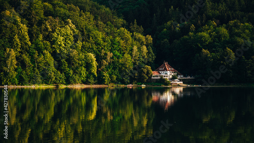 Fotografie, Obraz Glorious landscape of a lakehouse in a thick forest reflecting in the water