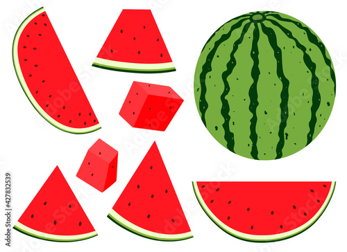 Watermelon slices summer fruit vector illustration.