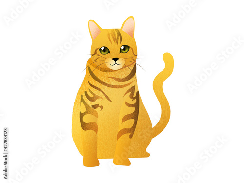 Gato color amarillo