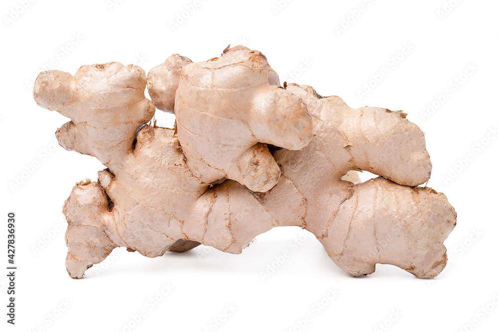 Fresh ginger root rhizome with shredded ginger on white background,