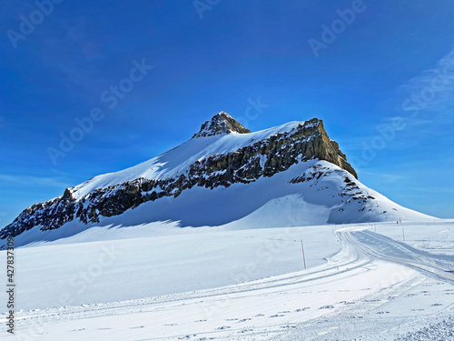 Snowy alpine mountain peak Oldenhorn (Oldehore or Becca d'Audon) located in a mountain massif Les Diablerets (Rochers or Scex de Champ) - Canton of Vaud, Switzerland (Suisse) / Glacier 3000 photo