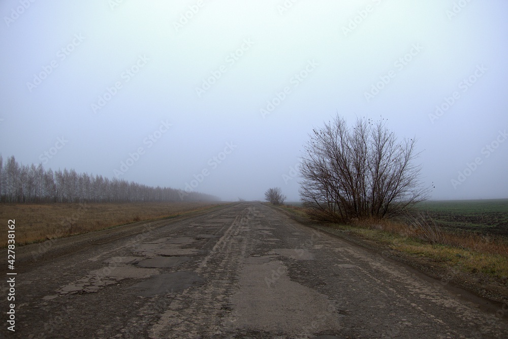 Fototapeta premium road in the fog