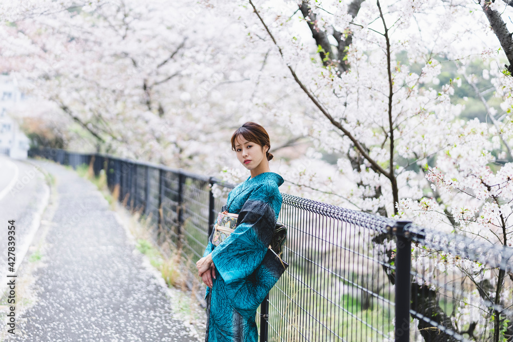 桜を楽しむ着物の女性