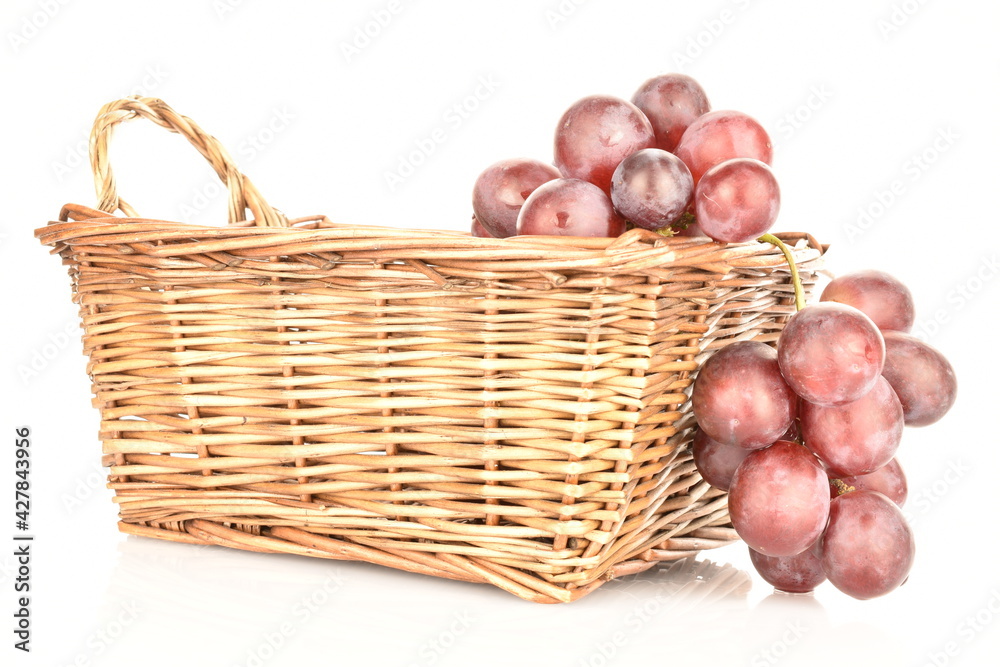 Obraz premium A bunch of fresh organic, juicy, ripe, sweet grapes with a wicker basket of vines, close-up, on a white background.