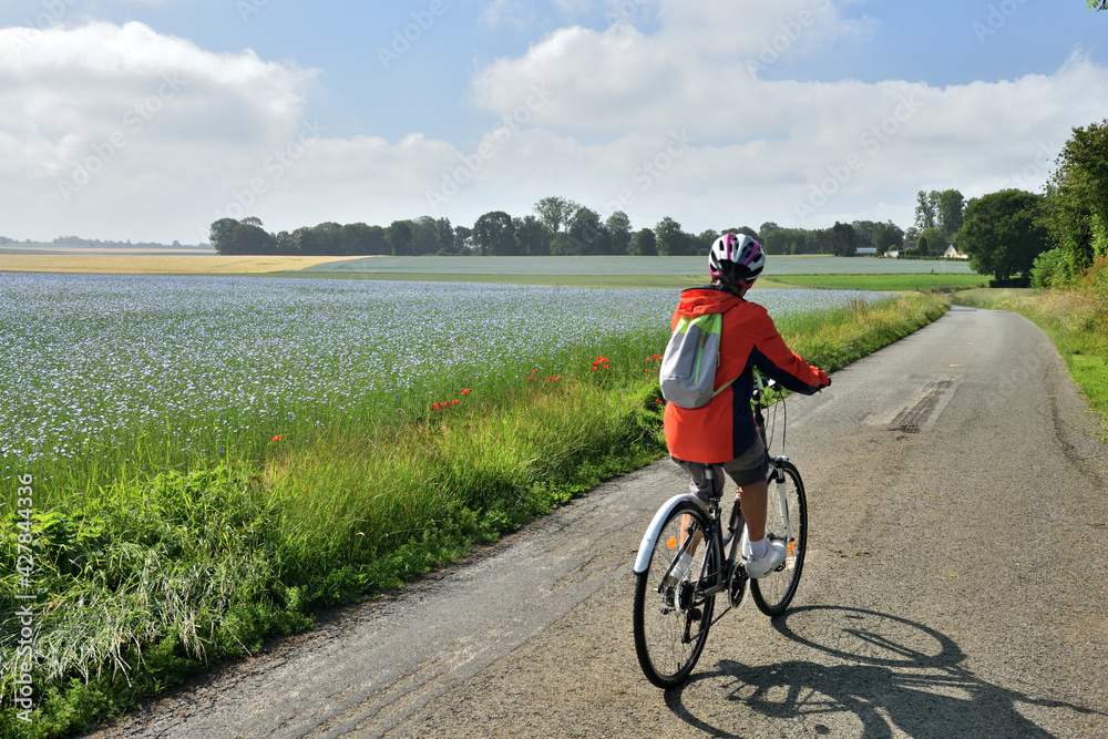 Femme cycliste sur une route de campagne le long d'un champ de lin en fleur
