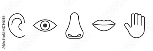 Icon of five human senses, vision, smell, taste, hearing, touch. Line sign eye, nose, mouth, ear, hand. Editable black outline stroke. Vector illustration
