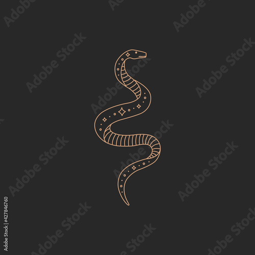 Fototapeta Magic snake logo, gold simple contour line, boho style on black background, mode