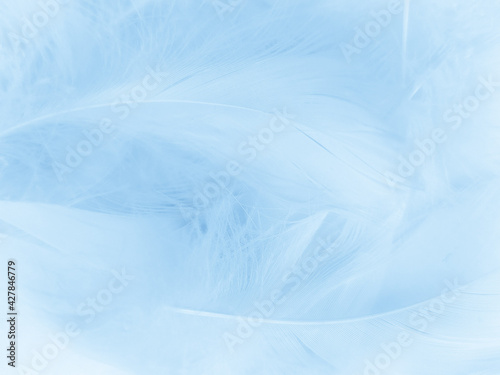 Beautiful abstract blue feathers on white background, white feather texture and blue background, feather wallpaper, blue texture banners, love theme, valentines day, gray gradient