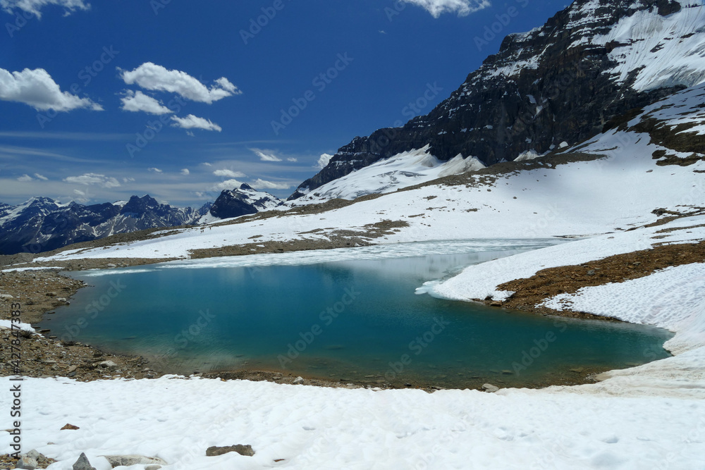 Iceline trail famous hike with beautiful glacier lake with blue colour, Canadian Rockies, British Columbia, Canada