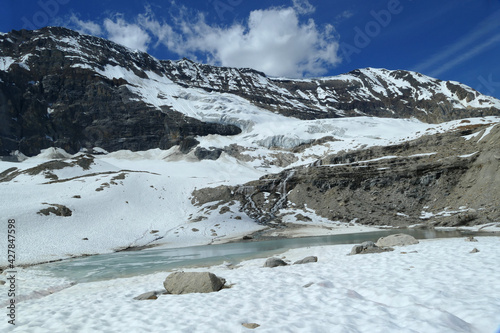 Iceline loop hiking trail with beautiful snow covered mountain views in Yoho National Park, popular tourist summer hike, Canadian Rockies, British Columbia, Canada photo