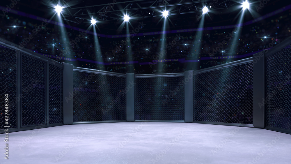 Fototapeta premium In the fighting cage with entry doorway on left. Interior view of fighting arena with fans and shining spotlights. Digital sport 3D illustration.