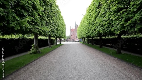 Avenue of Trees, Tree Lined Footpath through Park in Spring