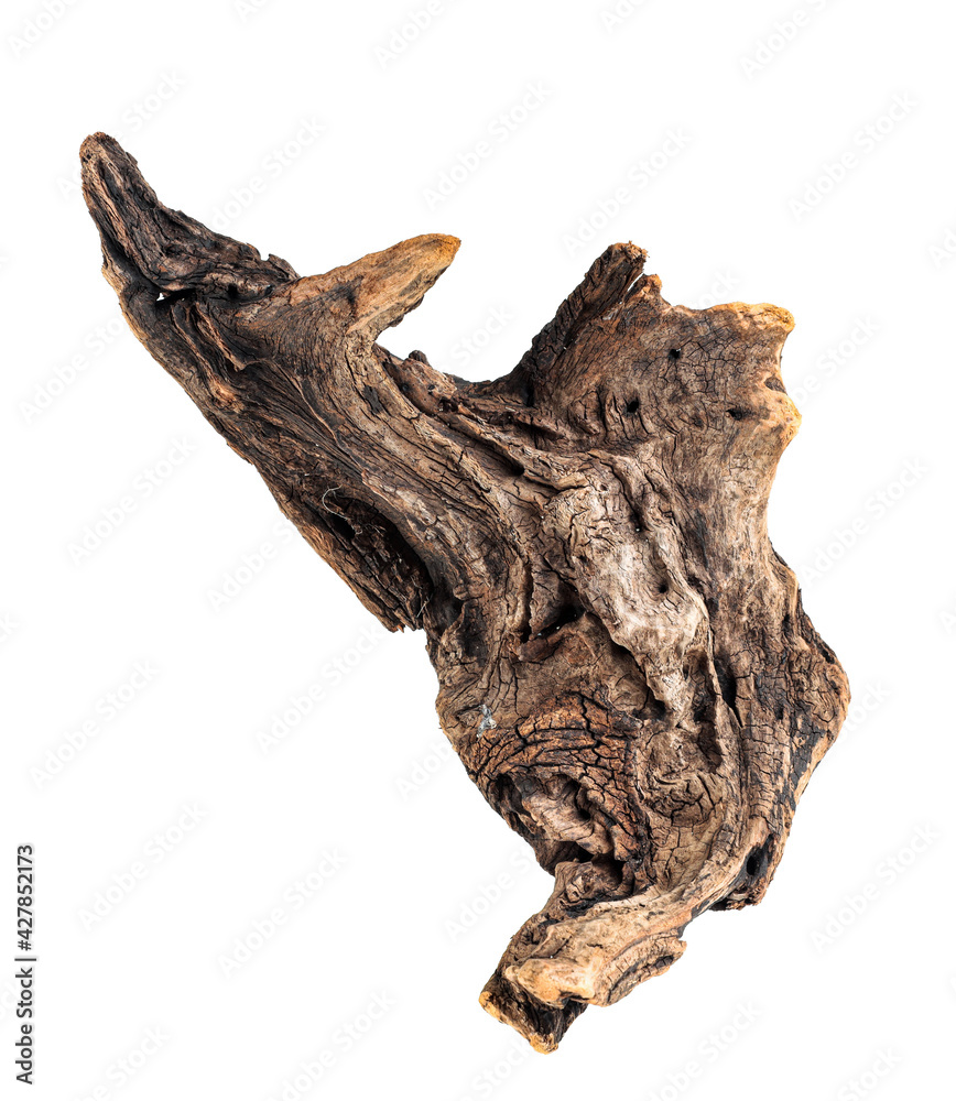 Driftwood texture piece of wood isolated