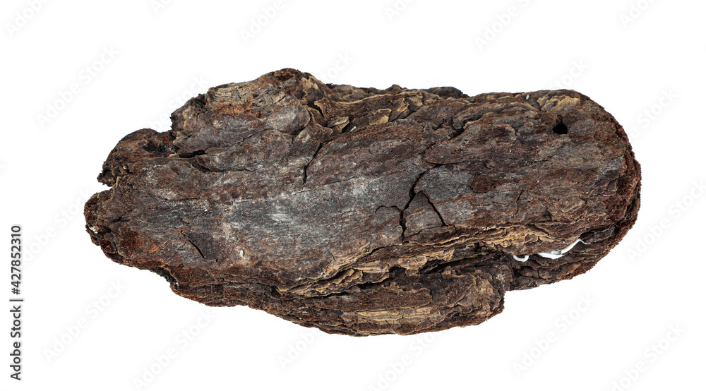 Driftwood texture piece of wood isolated