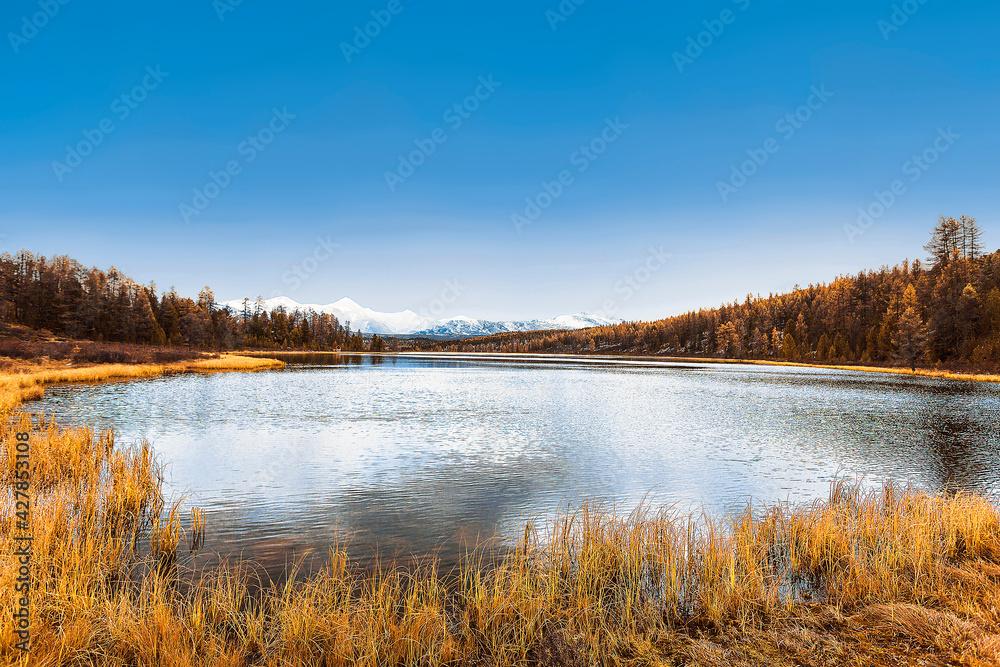 View of lake Kidelu against the background of snow-capped peaks of the Kurai range. Ulagansky District, Altai Republic, Russia