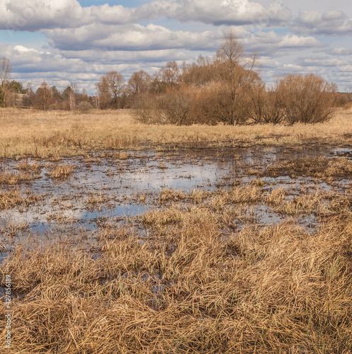 Dry grass meadow in early spring © Olesia Sarycheva