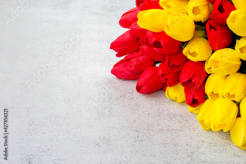 Bunch of fresh yellow and red tulips on the grey background with copy space. Holiday postcard