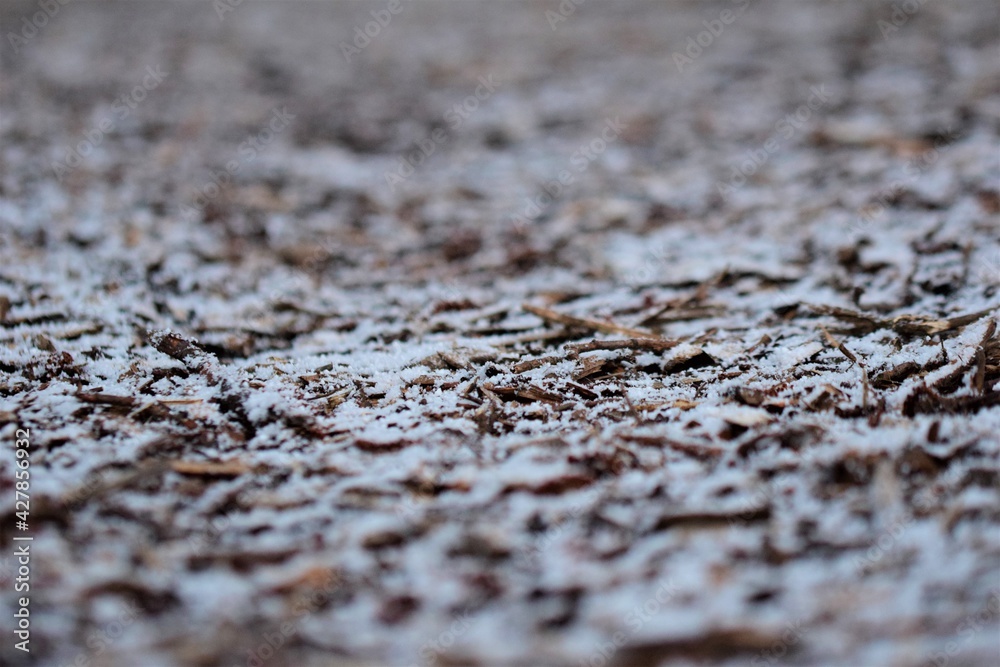 Snowy wood chips on the ground as a closeup with different focuses Snowy wood chips on the ground as a closeup with different focuses