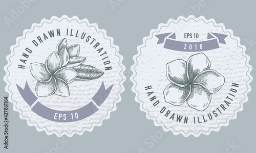 Monochrome labels design with illustration of plumeria